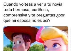 Enlace a No la hubiera engañado