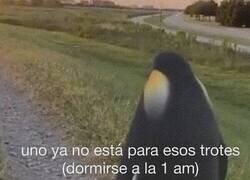 Enlace a El envejecimiento es real