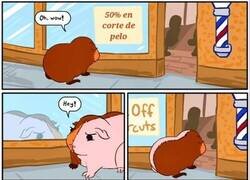 Enlace a 50% en corte de pelo