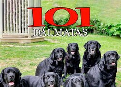 Enlace a Remake adaptado a los tiempos que corren