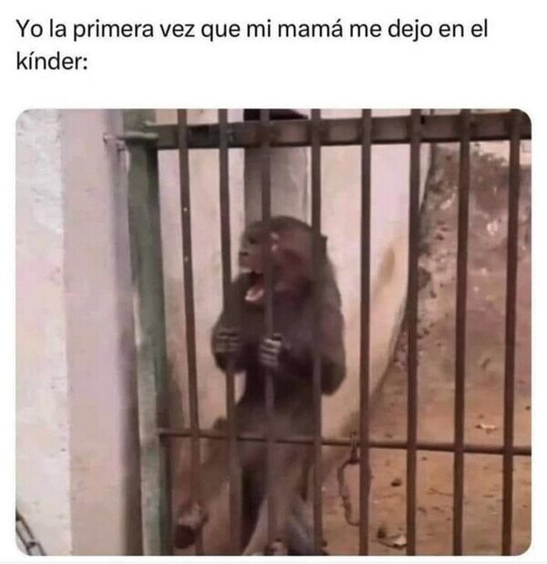 madre,niño,dejar,llorar