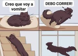 Enlace a Llegó justo a tiempo