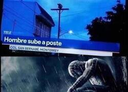 Enlace a Déjenlo, necesita estar solo