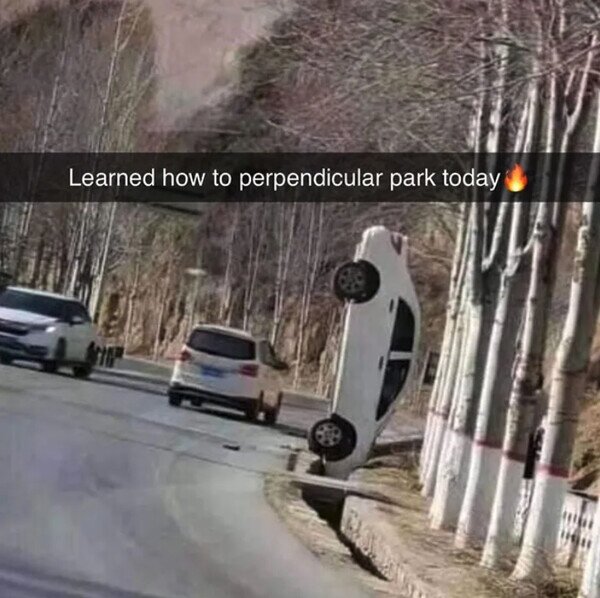 Otros - Hoy aprendí a aparcar en perpendicular