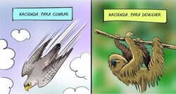 Enlace a Las dos caras de Hacienda