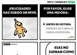 Enlace a Cuando subes de nivel