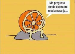 Enlace a Todas Frutas