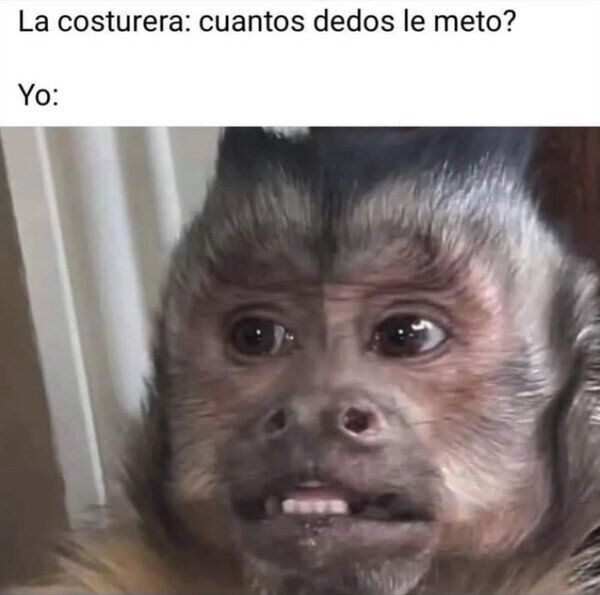 Meme_otros - No entiendo de costura, ¿de qué me está hablando?