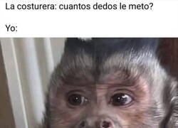 Enlace a No entiendo de costura, ¿de qué me está hablando?