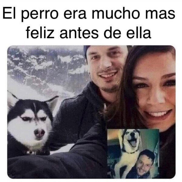 Otros - Creo que Firulais quiere decir algo