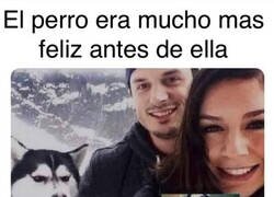 Enlace a Creo que Firulais quiere decir algo