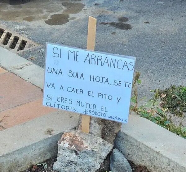 planta,cartel,aviso,arrancar