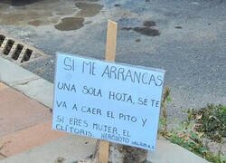 Enlace a Estáis avisados