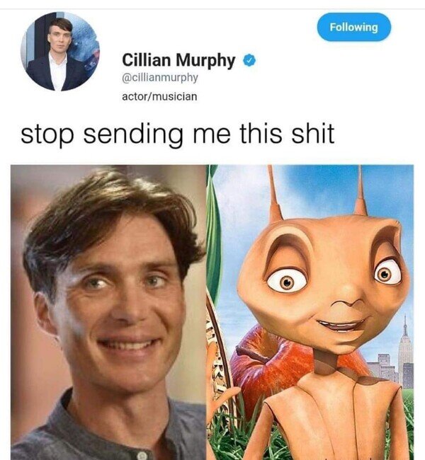 Otros - Cillian Murphy está harto