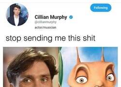 Enlace a Cillian Murphy está harto