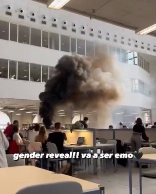 gender,reveal,género,bebé,emo