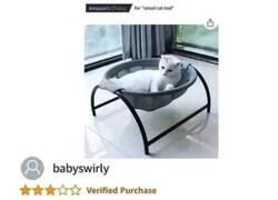 Enlace a Mi gato es especial