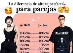 Enlace a Los estándares perfectos para alturas de parejas