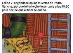 Enlace a ¡Maldito perro!