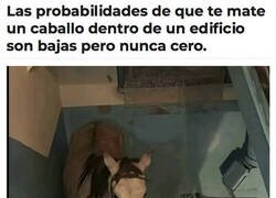 Enlace a ¿Cómo ha llegado ahí?