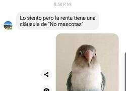 Enlace a Haré una excepción