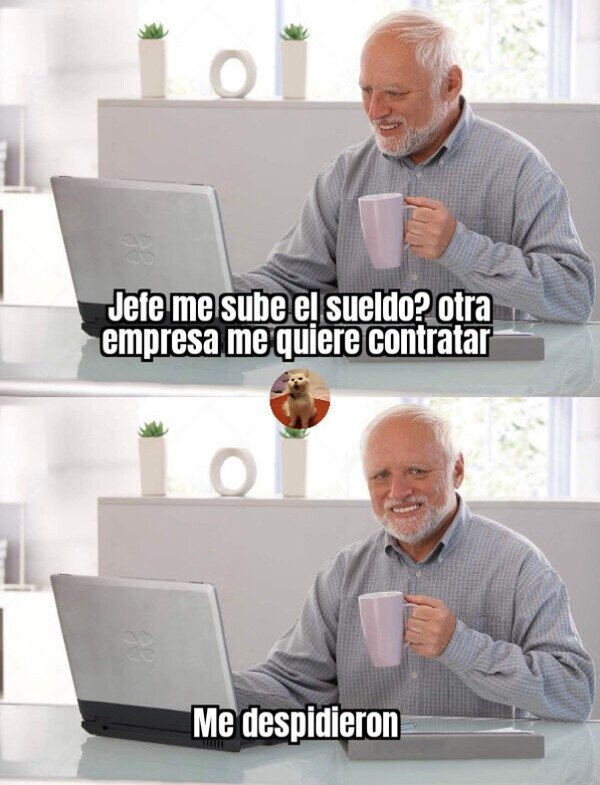 Meme_otros - La avaricia rompe el saco