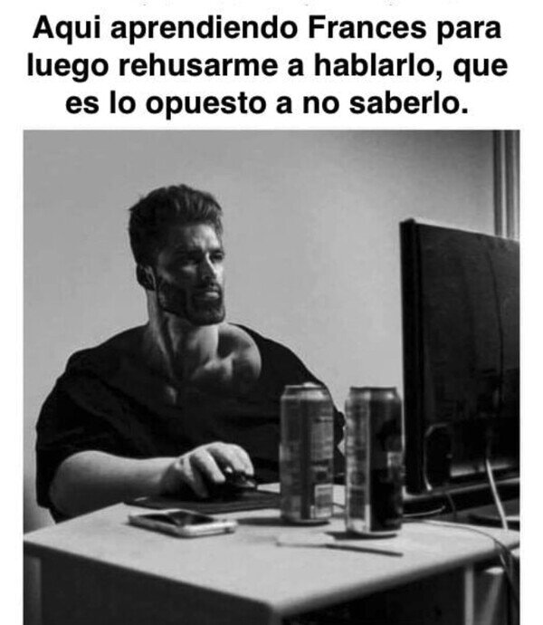 Meme_otros - Aprendería francés solo para elegir no hablarlo