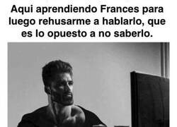 Enlace a Aprendería francés solo para elegir no hablarlo