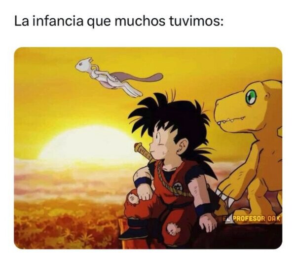 Meme_otros - Resumen de mi infancia
