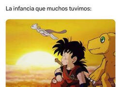 Enlace a Resumen de mi infancia