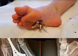 Enlace a Nada bueno viene de Francia