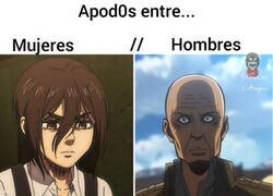 Enlace a No trates de comprenderlos