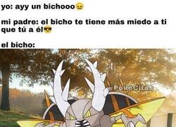 Enlace a Ay mi madre el bicho