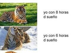 Enlace a Cuando no descanso bien