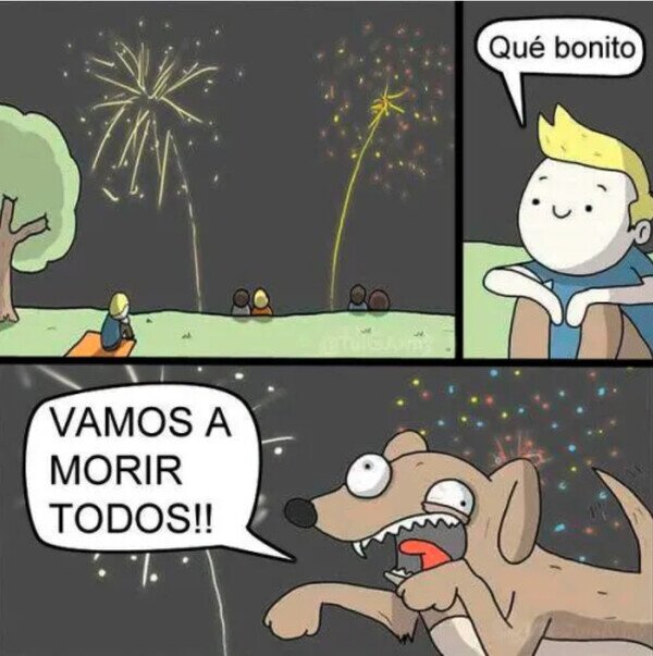 Otros - A los perros no les gusta la pirotecnia