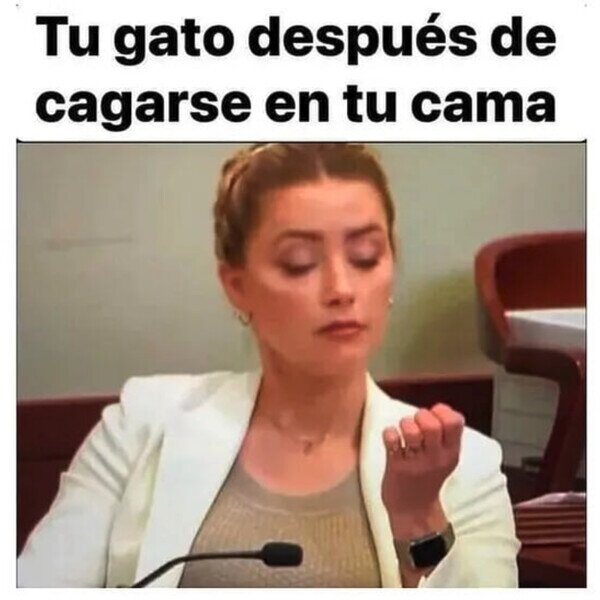 Otros - ¿Johnny Depp tenía mujer o gato?