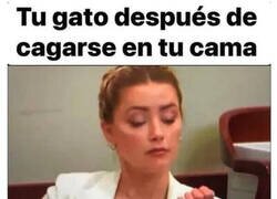 Enlace a ¿Johnny Depp tenía mujer o gato?