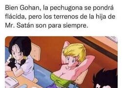 Enlace a Gohan era el más listo