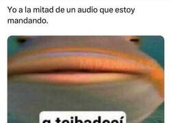 Enlace a Se me va el santo al cielo