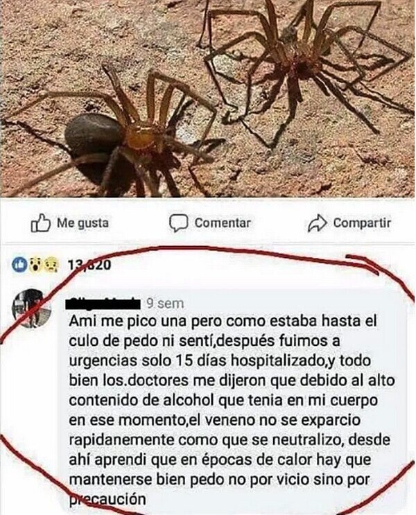 Meme_otros - Moraleja: Bebe para no morir