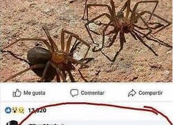 Enlace a Moraleja: Bebe para no morir