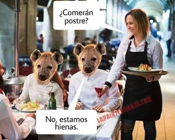 Meme_otros - No hay postre para las hienas