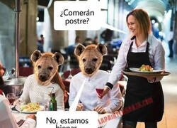 Enlace a No hay postre para las hienas