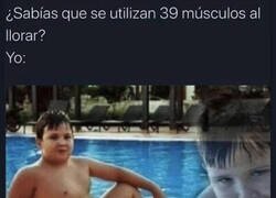 Enlace a Ejercitando músculos