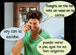 Enlace a Mi suegra y yo somos uña y carne