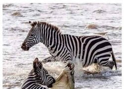 Enlace a Día opuesto