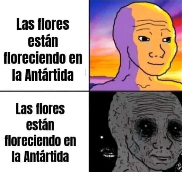 Otros - No es una buena noticia