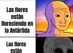 Enlace a No es una buena noticia