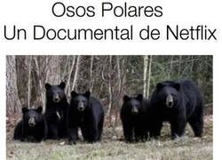 Enlace a Original de Netflix