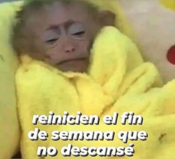 Meme_otros - Por favor lo pido